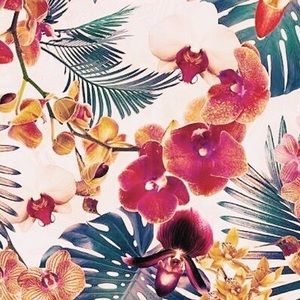 Meet your Posher, Maddie